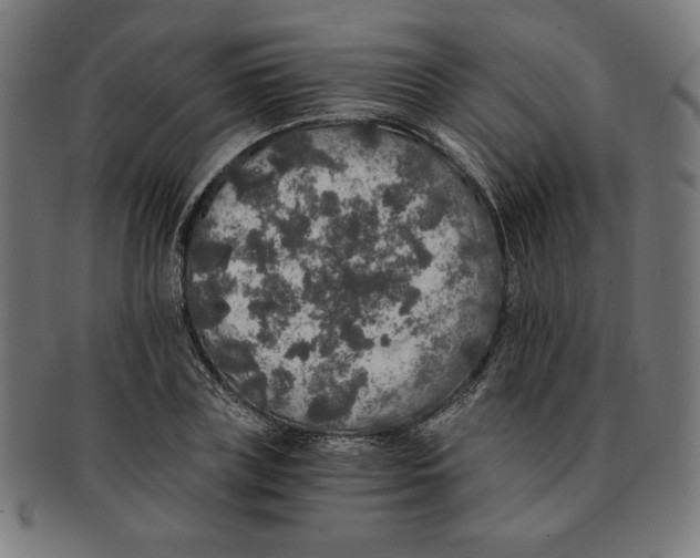 X0000091200835200709061412