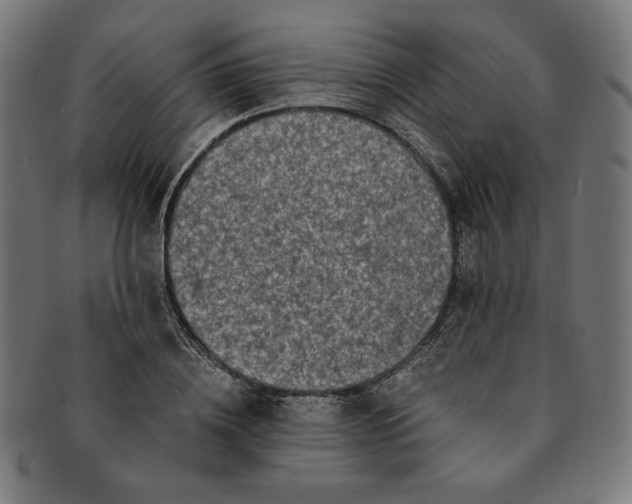 X0000091200836200709061412