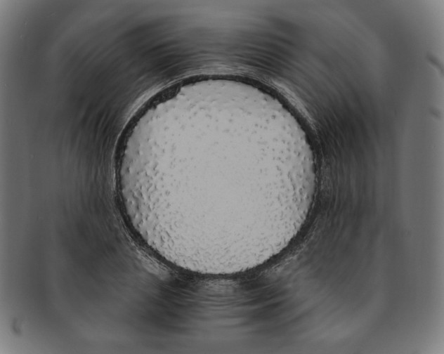 X0000091200837200709061412