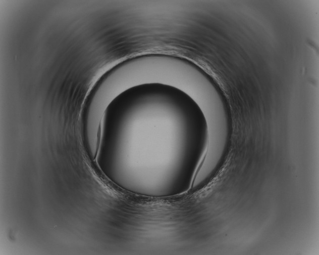 X0000091200838200709061412