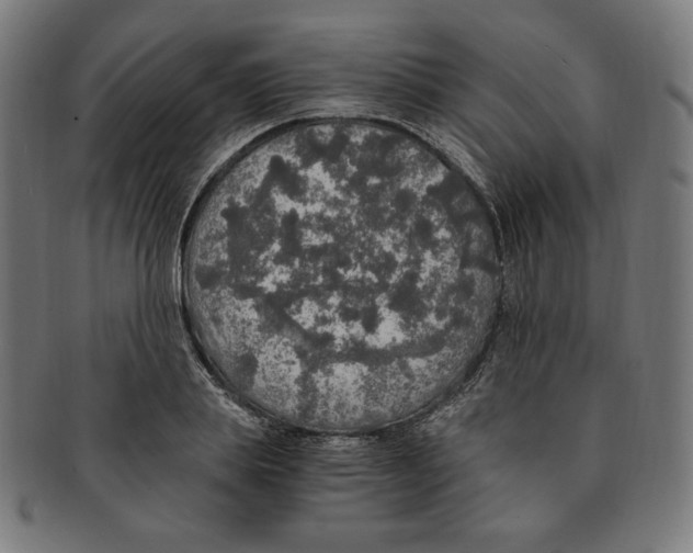 X0000091200839200709061412