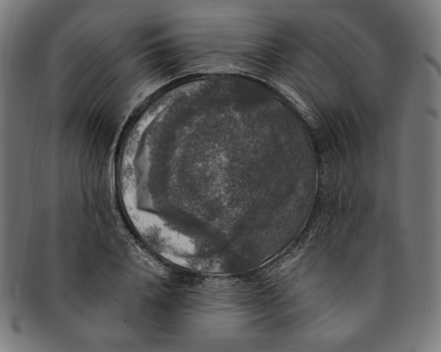 X0000091200840200709061412