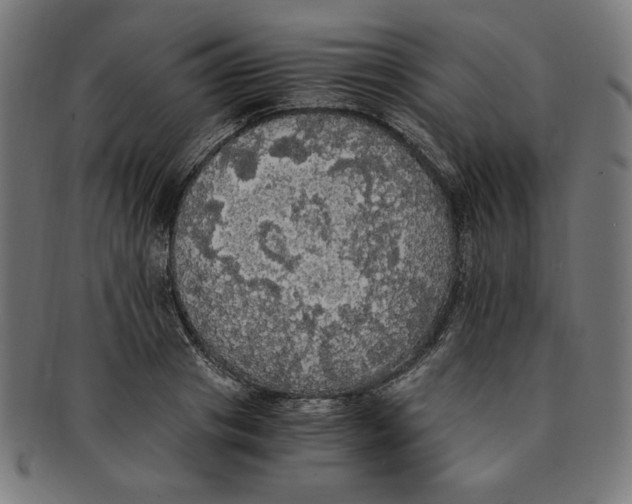 X0000091200841200709061412
