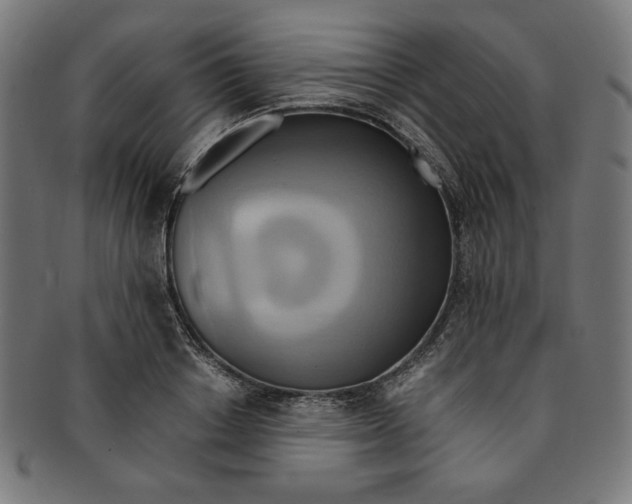 X0000091200842200709061412
