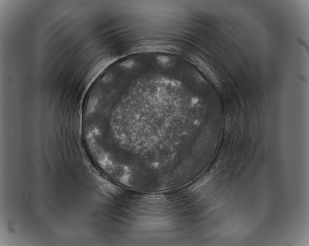 X0000091200844200709061412