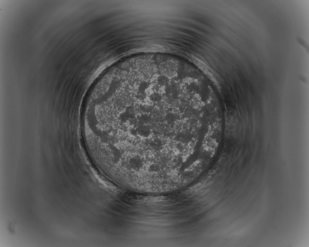 X0000091200845200709061412