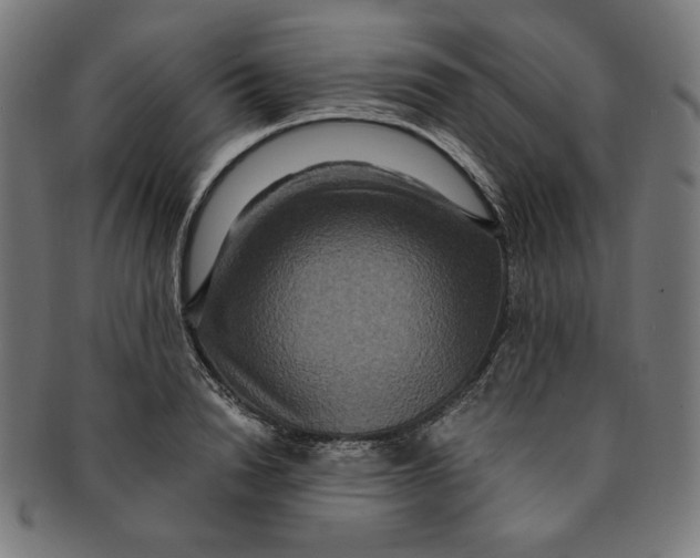 X0000091200846200709061412