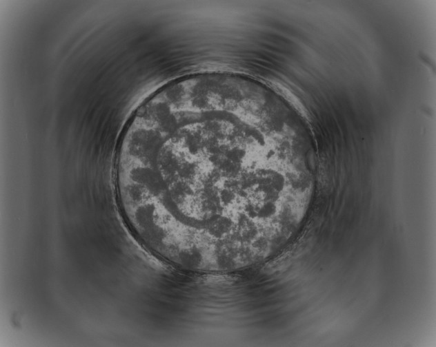 X0000091200847200709061412