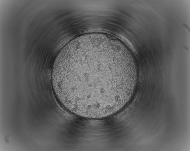 X0000091200849200709061412