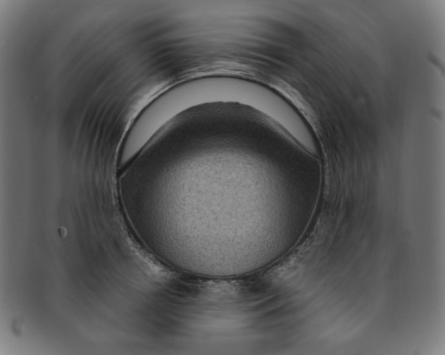 X0000091200850200709061412