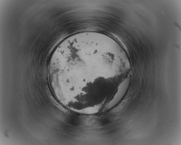 X0000091200851200709061412