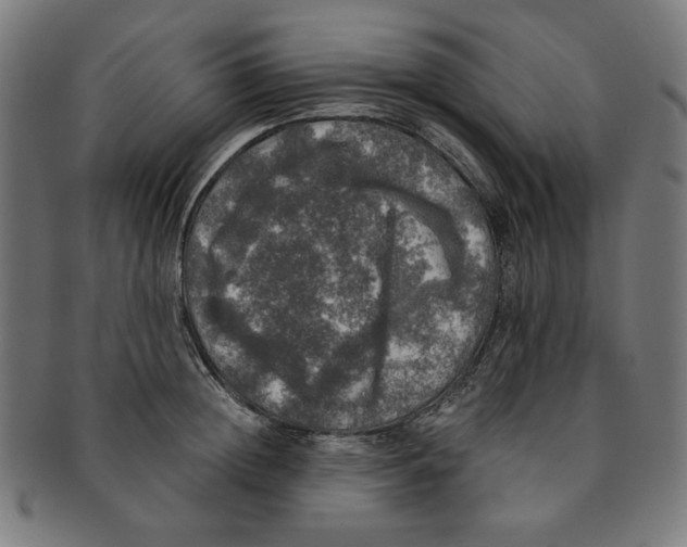 X0000091200852200709061412