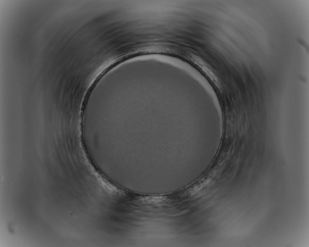 X0000091200853200709061412