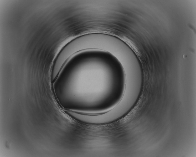 X0000091200854200709061412