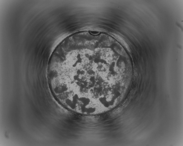 X0000091200855200709061412