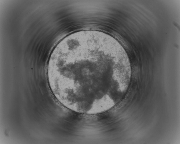 X0000091200856200709061412