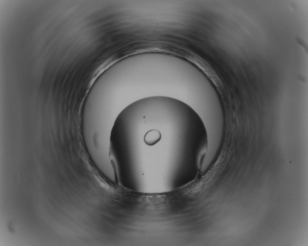 X0000091200858200709061412