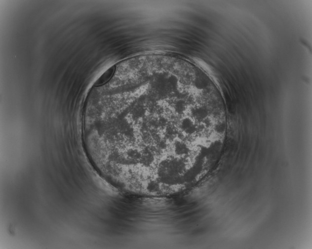 X0000091200859200709061412