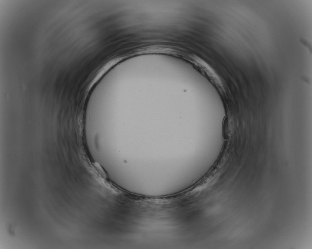 X0000091200860200709061412