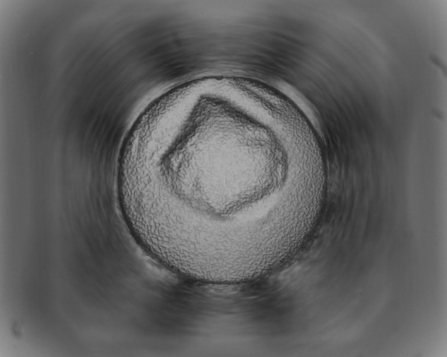 X0000091200861200709061412
