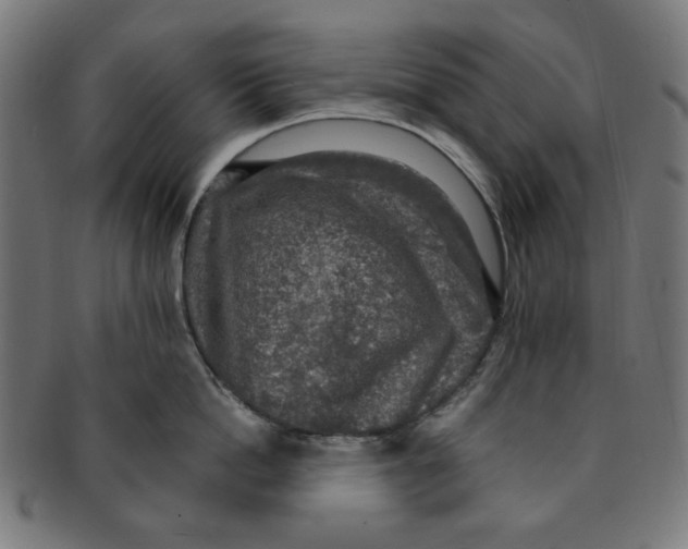 X0000091200862200709061412