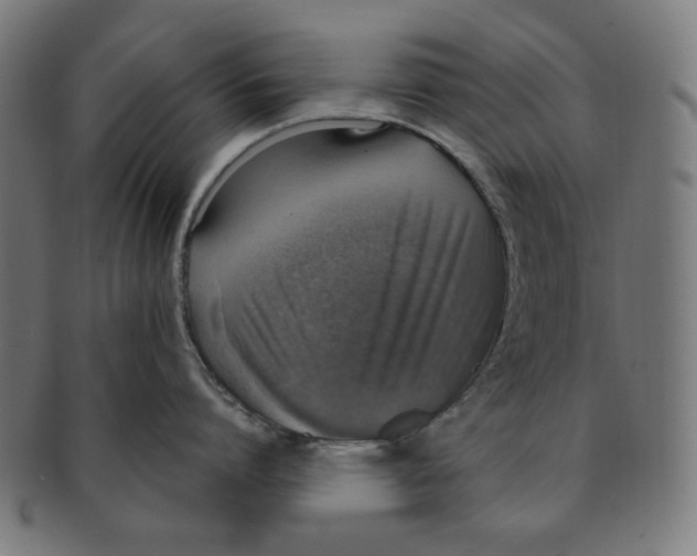 X0000091200864200709061412