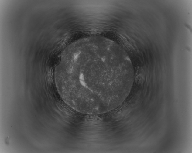 X0000091200866200709061411