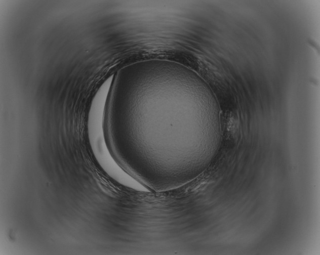 X0000091200868200709061411