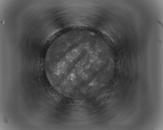 X0000091200870200709061411