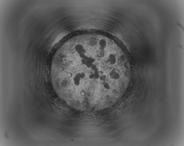 X0000091200871200709061411