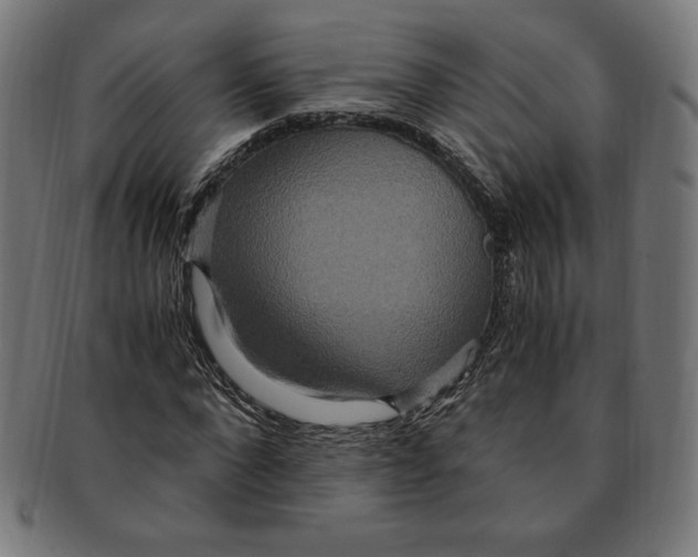 X0000091200872200709061411