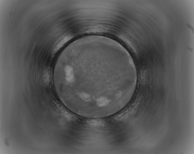 X0000091200874200709061411