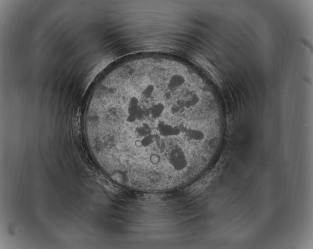 X0000091200875200709061411