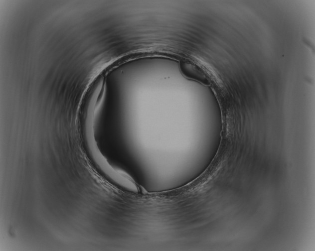 X0000091200876200709061411