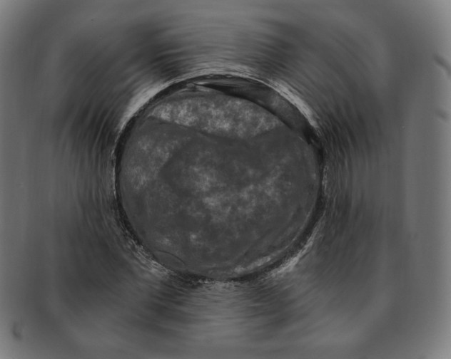 X0000091200877200709061411