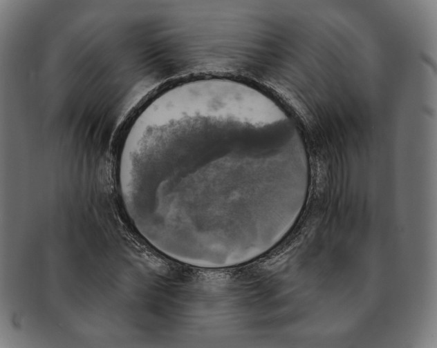 X0000091200878200709061411