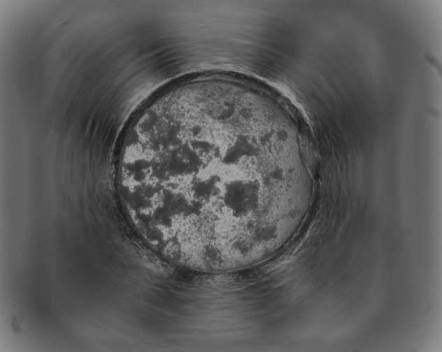 X0000091200879200709061411