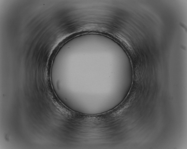 X0000091200880200709061411