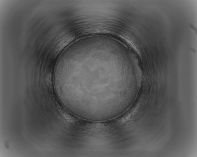 X0000091200881200709061411