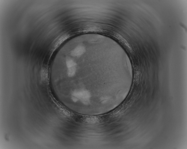 X0000091200882200709061411