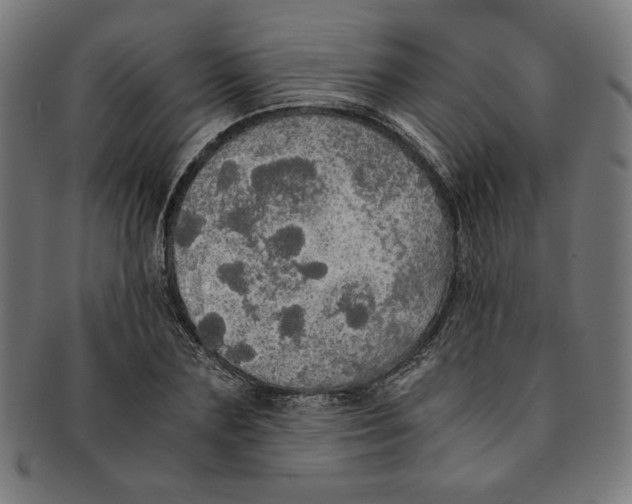 X0000091200883200709061411