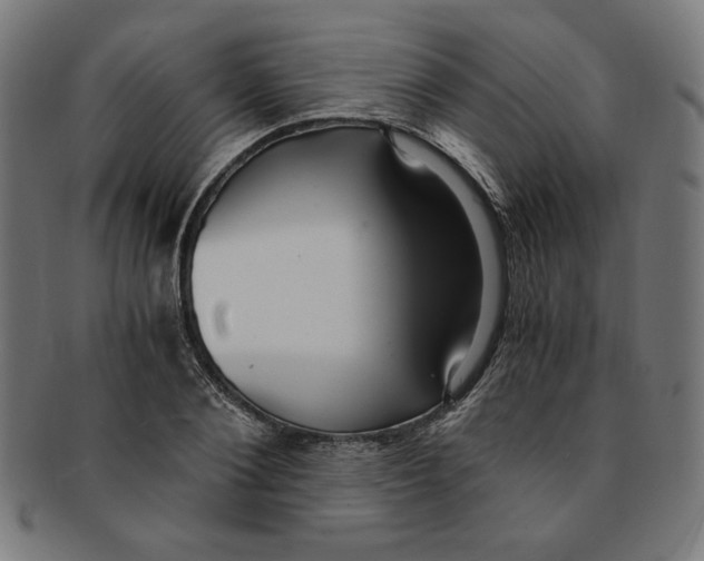 X0000091200884200709061411