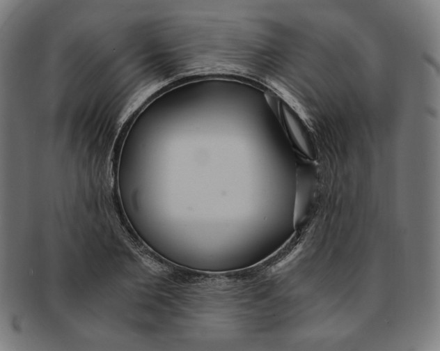 X0000091200885200709061411