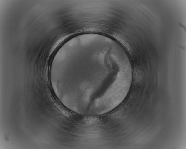 X0000091200886200709061411