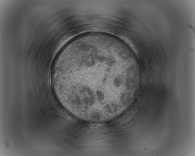 X0000091200887200709061411