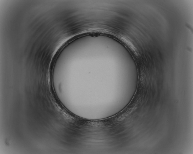 X0000091200888200709061411