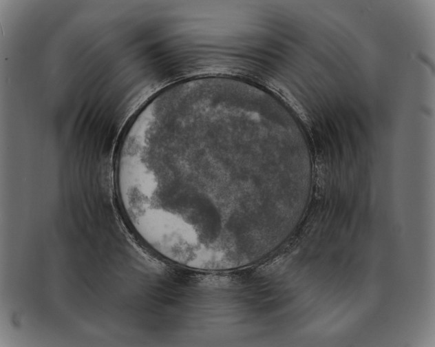 X0000091200890200709061411