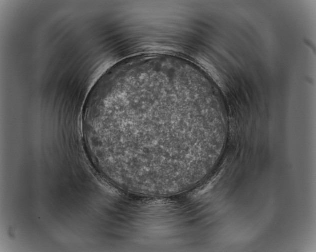 X0000091200891200709061411