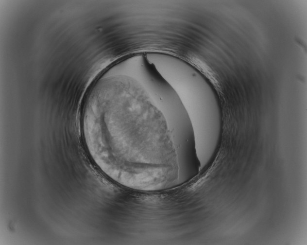 X0000091200892200709061411
