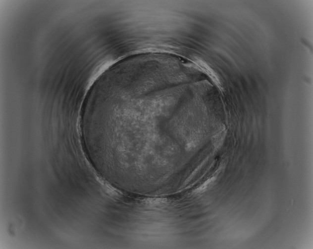 X0000091200893200709061411